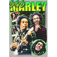 idol singer-GS  1702